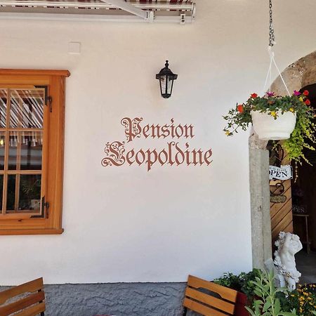 Pension Leopoldine Hallstatt Esterno foto