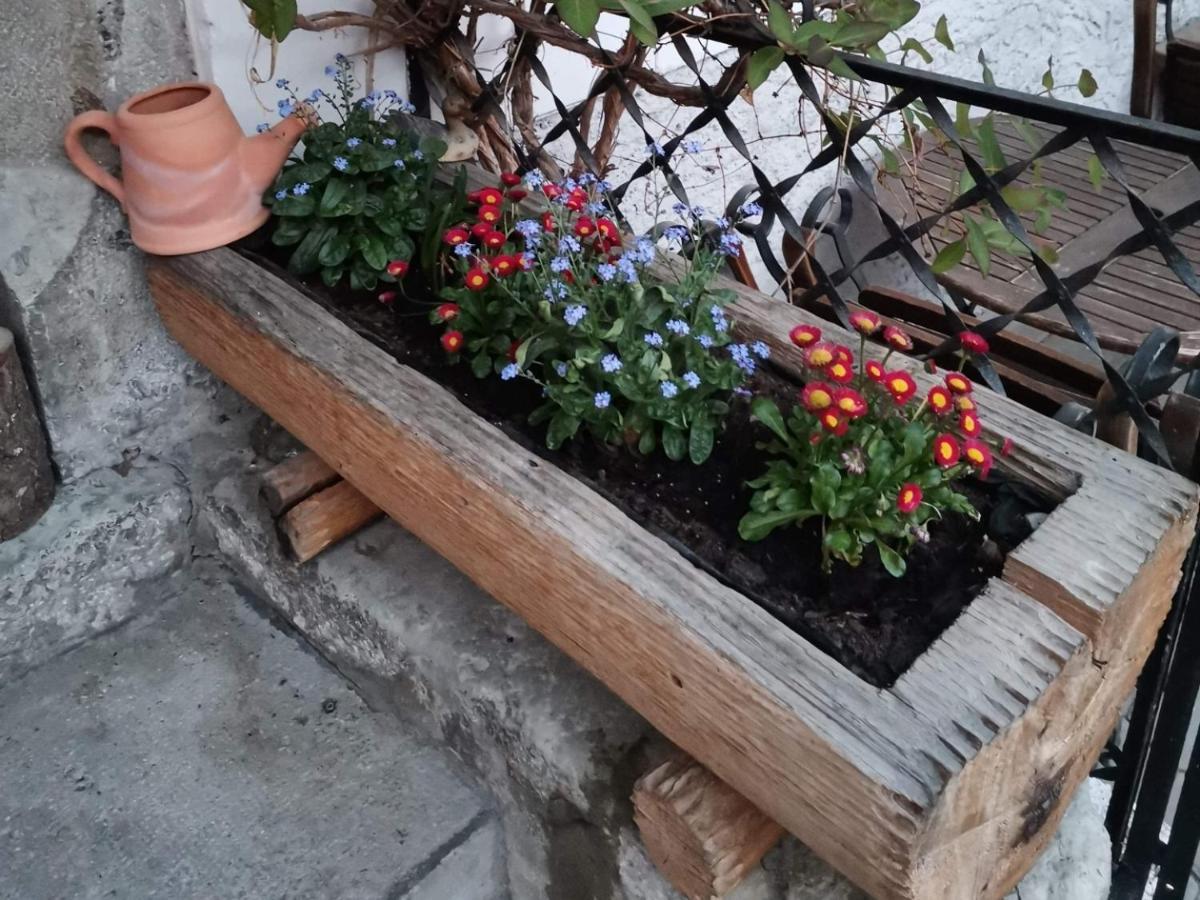 Pension Leopoldine Hallstatt Esterno foto