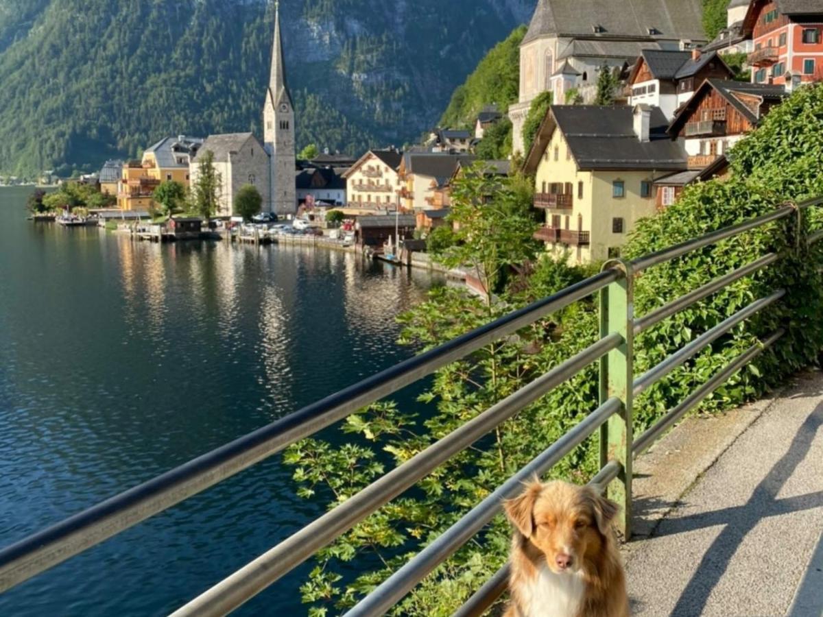 Pension Leopoldine Hallstatt Esterno foto
